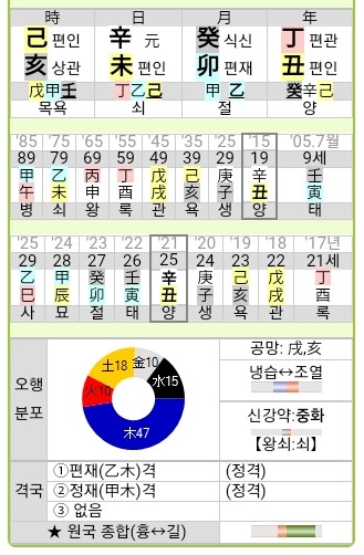 차은우 사주 4가지 풀이(Ft.재물운 애정운 직업운 건강운) : 네이버 블로그