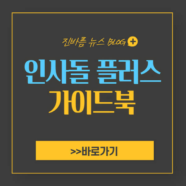 인사돌 플러스 가격 및 부작용 효능 3가지와 성분 - 진바름뉴스