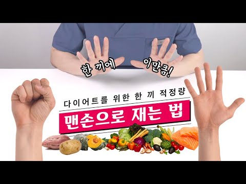 다이어트 한끼 섭취량 맨손으로 재는 법 (탄수화물 식이섬유 단백질 지방) - Youtube