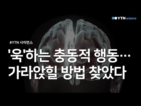 욱'하는 충동적 행동…가라앉힐 방법 찾았다 / Ytn 사이언스 - Youtube