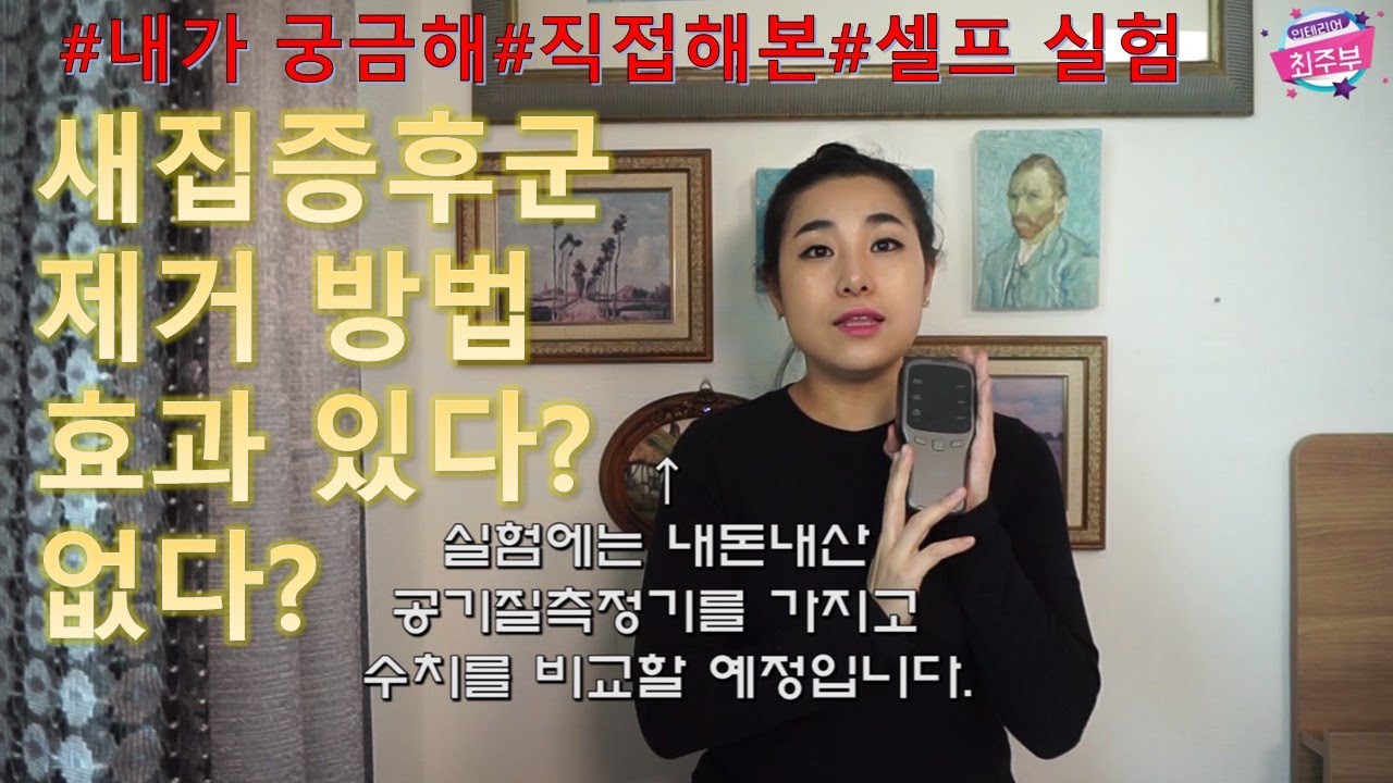 새집증후군 없애는 방법 진짜 효과? 직접 실험을 해보았습니다 (칼더 공기질측정기, 화목한 가정 방분탄 피톤치드 베이크아웃, 아이큐에어  Gc멀티가스 공기청정기 ) - Youtube