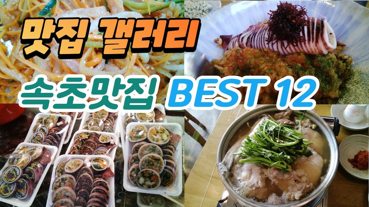 맛집 갤러리] 현지인 추천 속초맛집 베스트 12 #속초맛집 #강원도맛집 #Koreanfood - Youtube