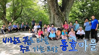 우문현답] 191화. 경남 거창군 웅양면 동호마을 - 80세란 나이에 비해서 어쩌면 이렇게 얼굴이 곱습니까? (2019.08.28,수)  - Youtube