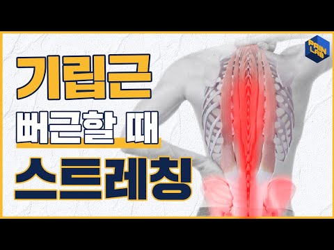 기립근이 당기고 뻐근할 때 이 방법으로 끝납니다.