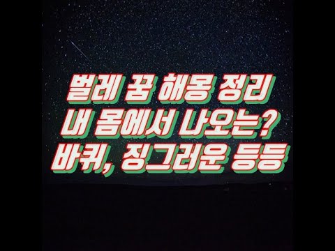 벌레 꿈 해몽 정리(내 몸에서 나오는? 바퀴, 징그러운 등등)