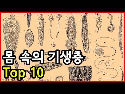 우리몸에 기생하는 대표적 기생충 Top 9