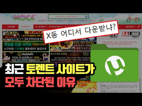 토렌트 사이트가 모두 정지된 이유