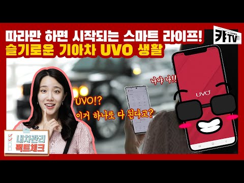 UVO 써보면 참 편해요! 따라만 하면 되는 슬기로운 기아차 UVO 생활 [내차관리 팩트체크 8편]