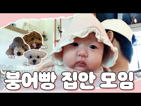 놀러와요 박찬호 이우성 박정우 가족 모임 🐶👶🏻♥️