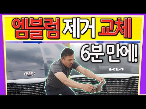 No 기스! 6분만에 엠블럼 제거 교체 가능? 기아 신형 로고 Car발리기 | KB차차차