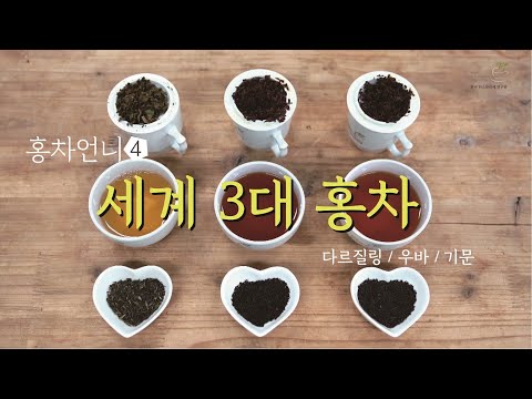 세계 3대 홍차 / 홍차 마스터 과정 / Top 3 Best Black teas #홍차언니 #한국티소믈리에연구원