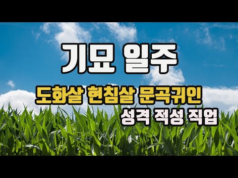 기묘일주에 태어난 사람들 성격 특징