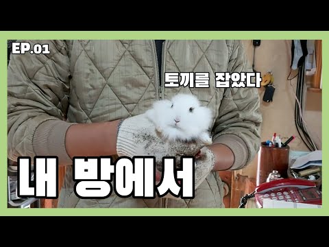 기묘한 동거 - Ep.01