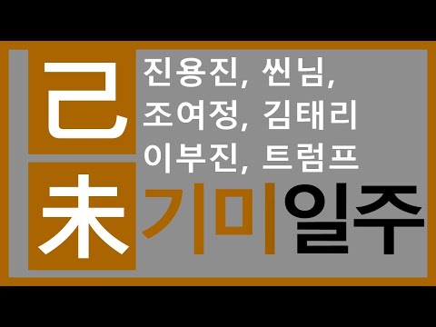 [기미일주] 조여정사주 : 사주로 알아보는 성격과 나의 특징