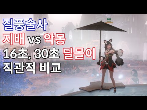 질풍술사 세팅별 딜몰이 비교 (지배, 악몽)