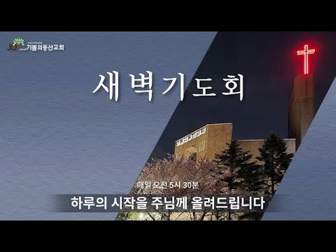 그 정도는 누구나 다 안다 ( 욥 12:1-12) 2023년 6월 14일 새벽 기쁨의동산교회 김광이 담임목사