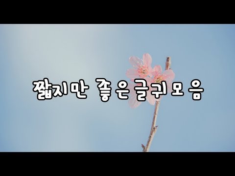 짧지만 좋은글귀 모음