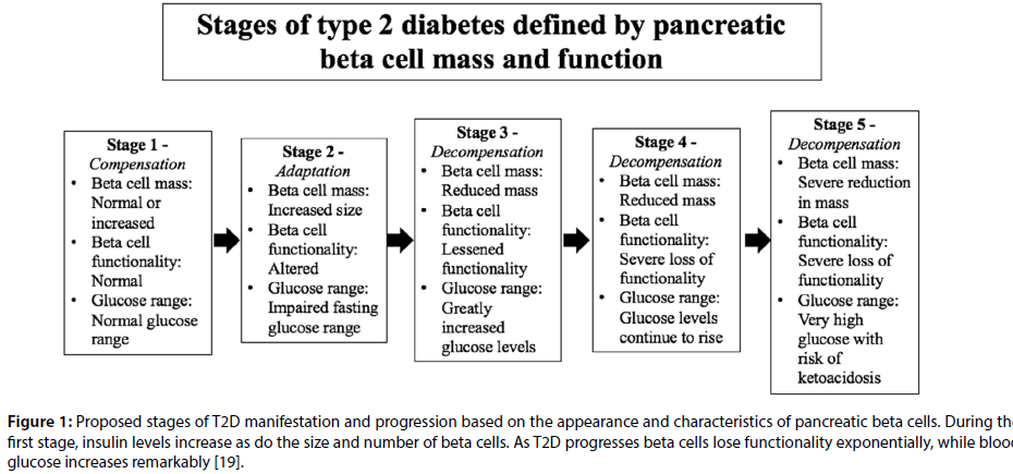 Current Understanding Of Gender Dimorphism Regarding Type 2 Diabetes