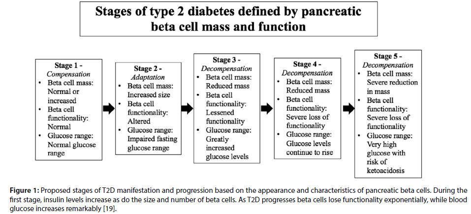 Current Understanding Of Gender Dimorphism Regarding Type 2 Diabetes