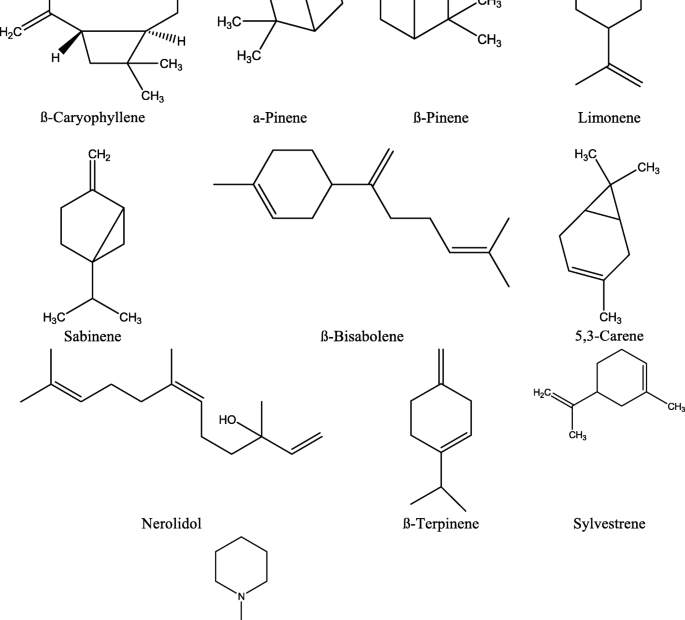 Phytochemistry And Therapeutic Potential Of Black Pepper [Piper Nigrum  (L.)] Essential Oil And Piperine: A Review | Clinical Phytoscience | Full  Text