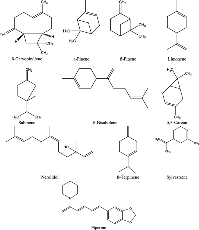 Phytochemistry And Therapeutic Potential Of Black Pepper [Piper Nigrum  (L.)] Essential Oil And Piperine: A Review | Clinical Phytoscience | Full  Text