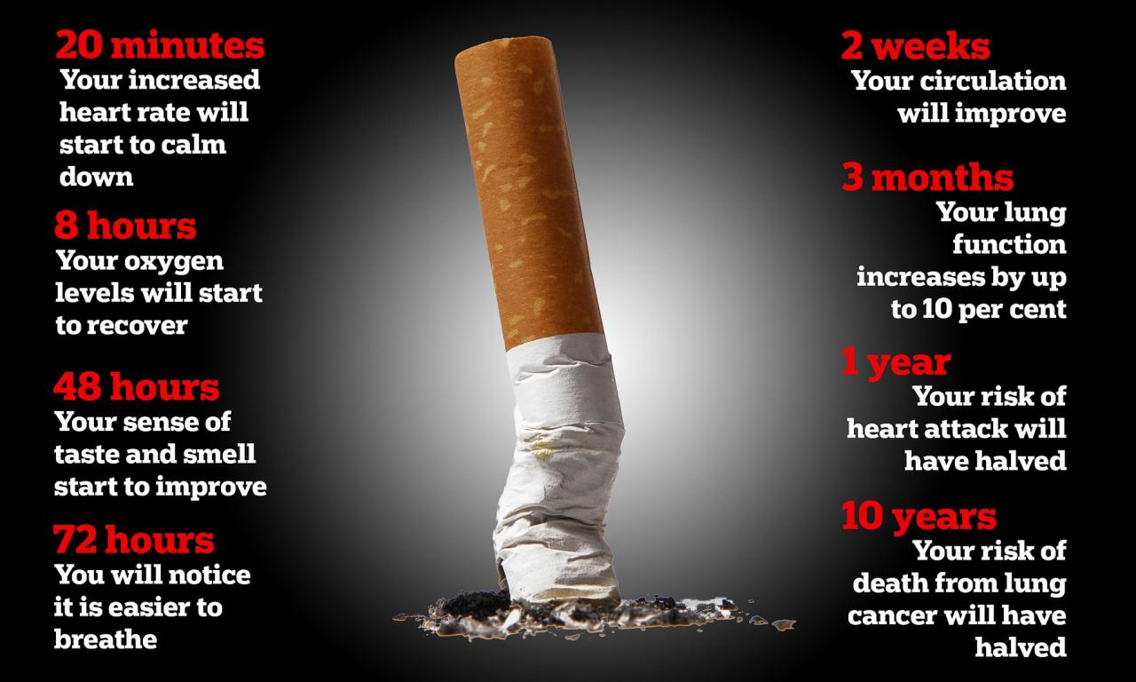 Stoptober: You Can See The Benefits Of Quitting Smoking After 20 Minutes,  Experts Reveal | Daily Mail Online