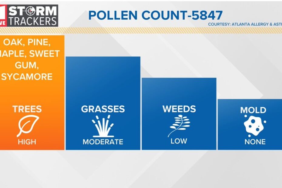 Pollen Count Surges To Record High, Could Be Higher This Weekend |  11Alive.Com