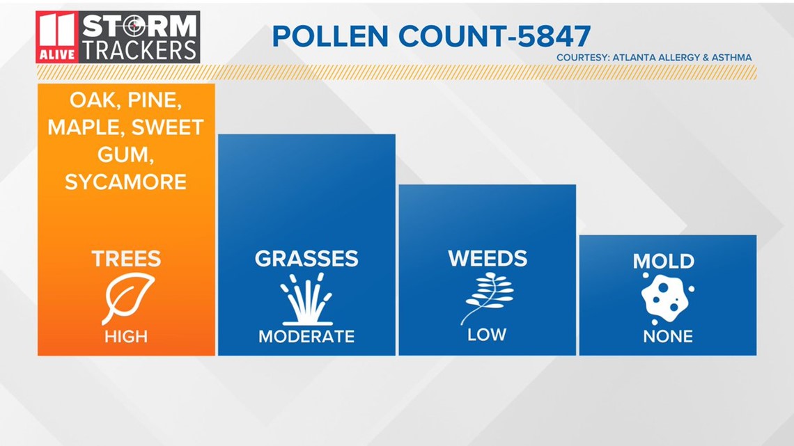 Pollen Count Surges To Record High, Could Be Higher This Weekend |  11Alive.Com