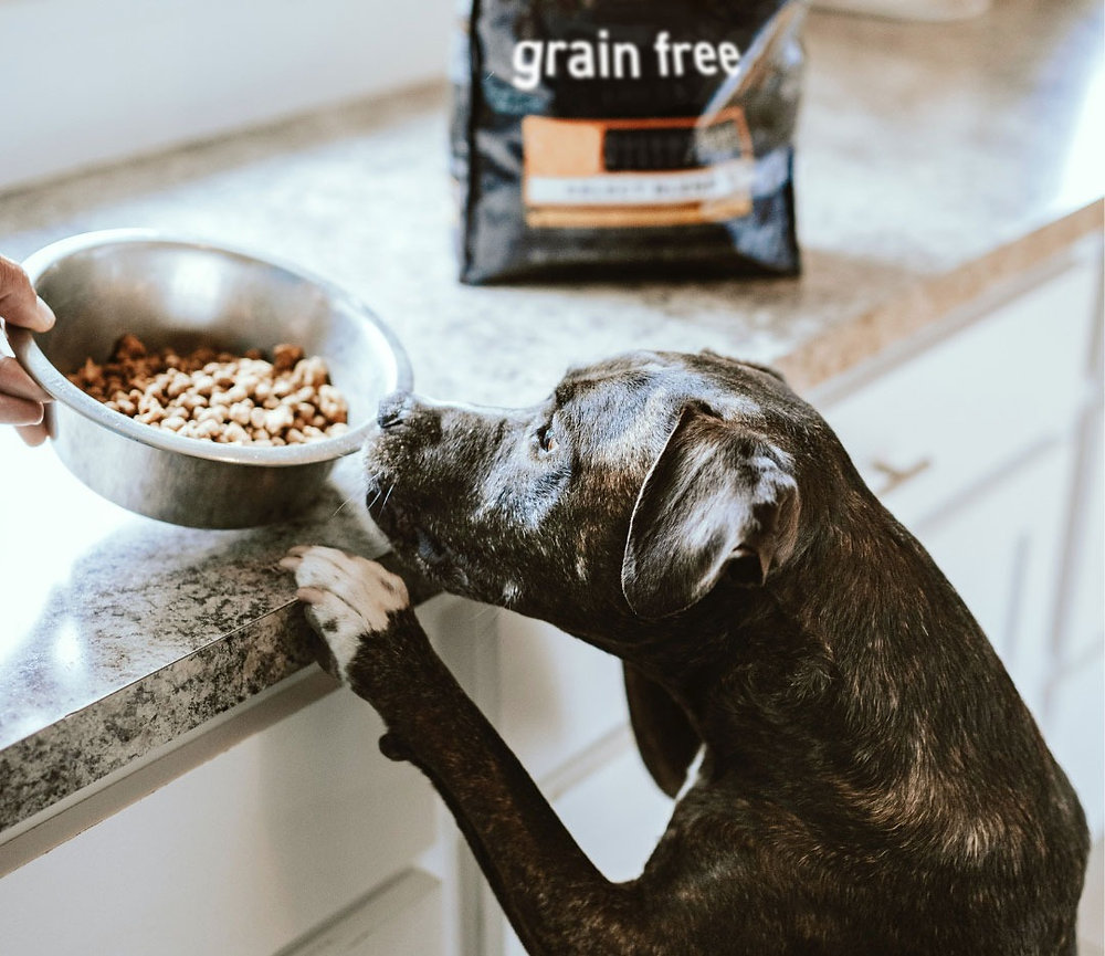 Is There A Problem With Grain Free Dog Food?