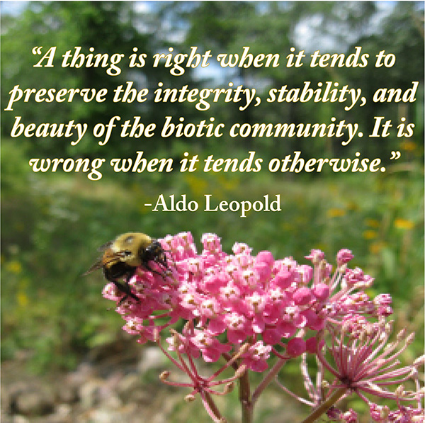 Understanding The Land Ethic - The Aldo Leopold Foundation