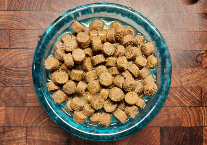 10 Reasons To Add Water To Your Dog'S Dry Food –  Youdidwhatwithyourwiener.Com