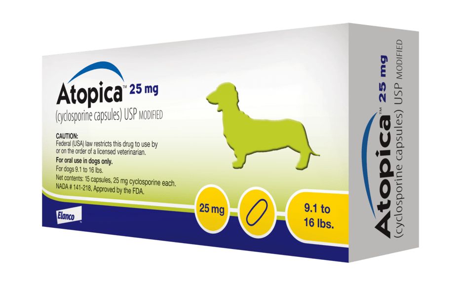 Atopica® For Dogs | Control Canine Atopic Dermatitis