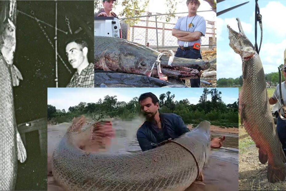 The Biggest Alligator Gar Ever Caught | Field & Stream