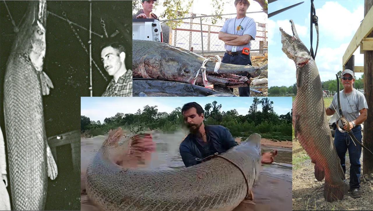 The Biggest Alligator Gar Ever Caught | Field & Stream