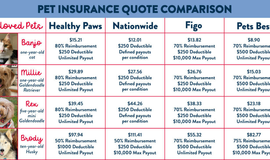 How Does Pet Insurance Work? | Earthborn Holistic Pet Food