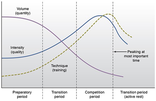 Tools And Benefits Of Periodization: Developing An Annual Training Plan And  Promoting Performance Improvements In Athletes – The Sport Journal