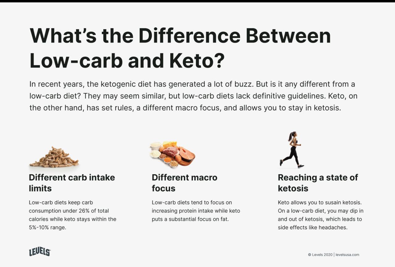 Low Carb Vs. Keto: Everything You Need To Know - Levels