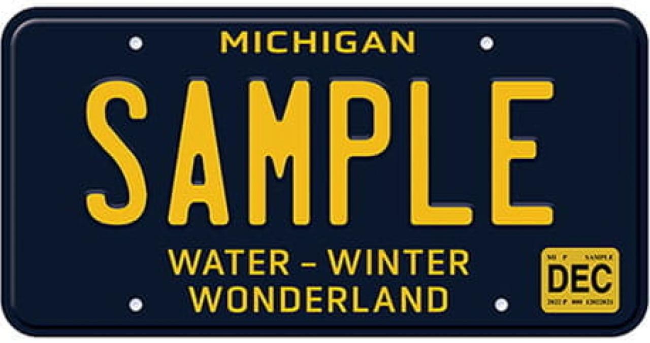 From Retro To High-Tech, Michigan Drivers Snap Up New License Plate Options  | Bridge Michigan