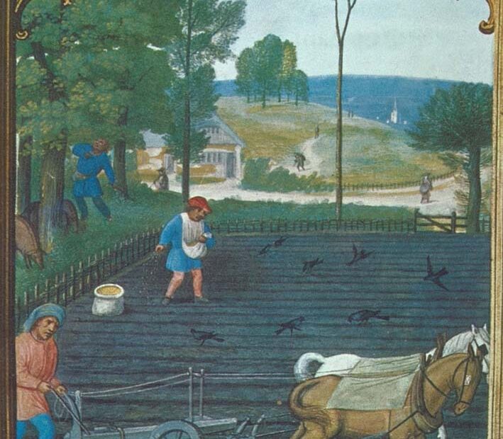 Agriculture In The Middle Ages - Wikipedia