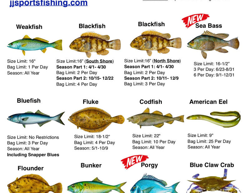 Regulations '2023 – Jjsportsfishing.Com