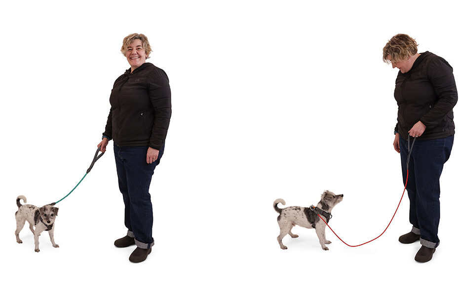 Gear Guide: How To Choose A Dog Leash | Ruffwear