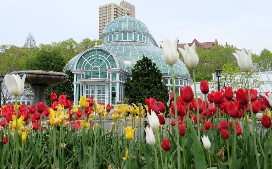 The Brooklyn Botanic Garden Has Announced An August Reopening Date - Secret  Nyc