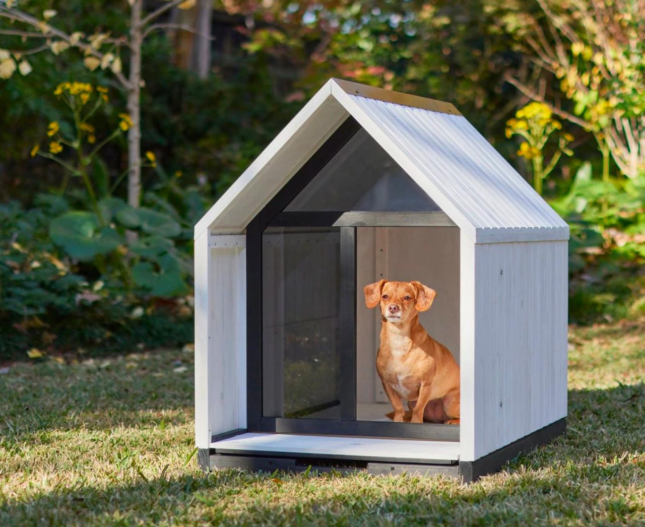 The 12 Best Dog Houses For 2022 – Purewow