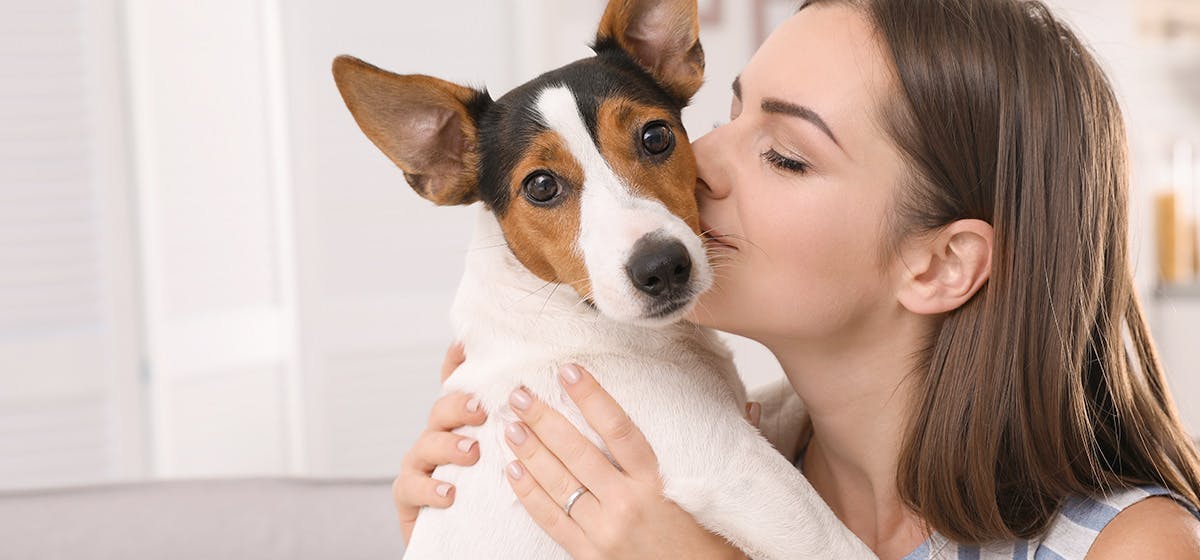 Can Dogs Feel When You Kiss Them? - Wag!