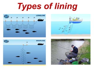 Fishing Methods | Ppt