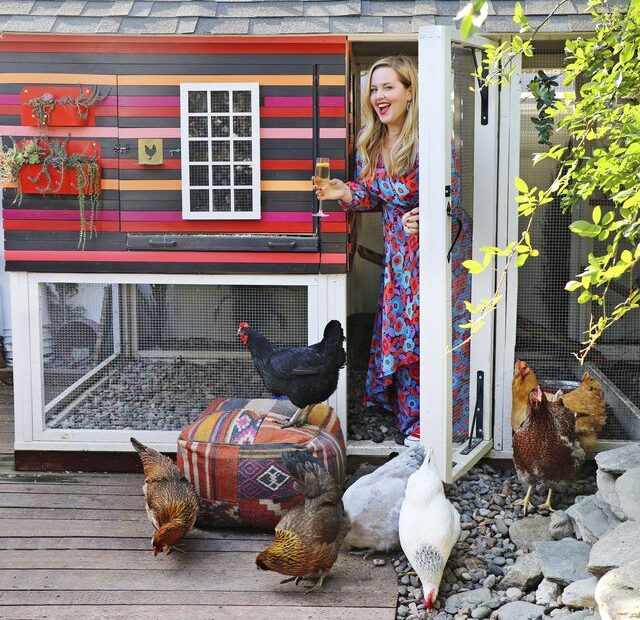 Raising Chickens 101 - How To Raise Chickens In Your Backyard