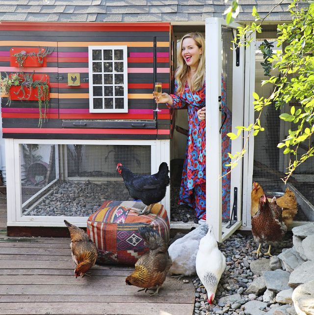 Raising Chickens 101 - How To Raise Chickens In Your Backyard