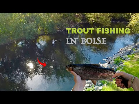 How To Fly Fish The Boise River - Youtube