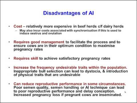 Tv4001 Ai In Cattle 1 - Advantages And Disadvantages - 5 Min - Youtube