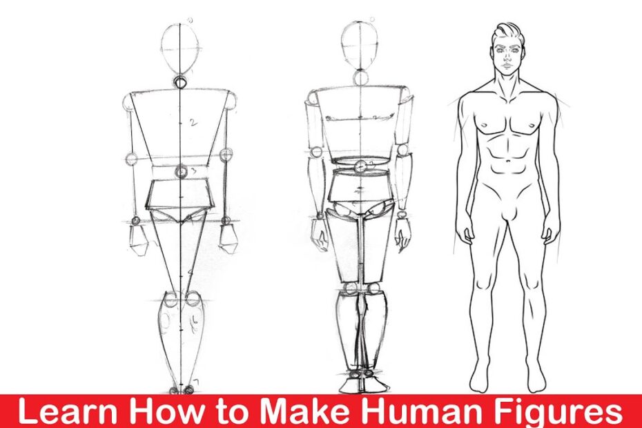 Human Figure Drawing Step By Step (Part -1) (Hindi/Urdu) - Youtube